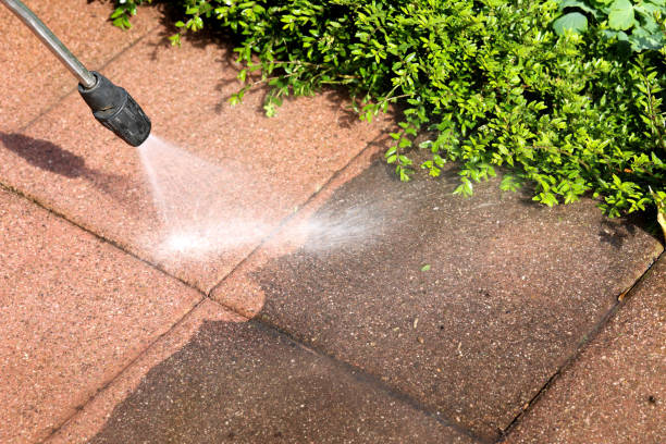 Best Exterior Home Cleaning  in Lucas, TX