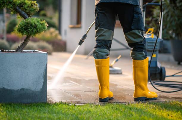 Best Best Pressure Washing Companies  in Lucas, TX